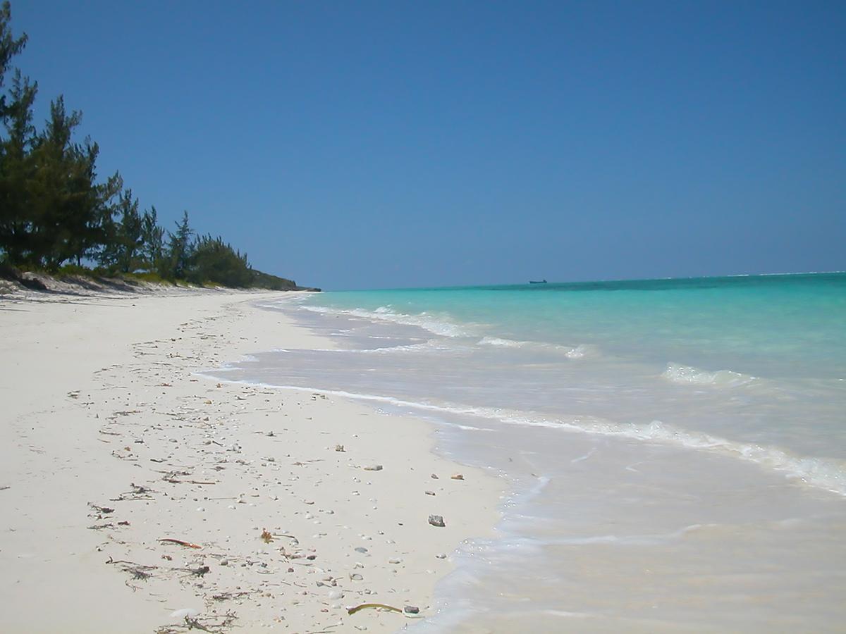 Hollywood Beach Suites Turks And Caicos Whitby Einrichtungen foto